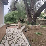 Terpi *